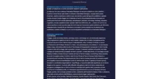 È stato finalmente pubblicato il Saggio “Femminicidio e Narcisismo Patologico: quale correlazione e come prevenire relazioni pericolose” che si può leggere gratuitamente online o del quale si può scaricare il pdf gratis (vedi i link a seguire), scritto a più mani da diversi professionisti del settore e da Donne che raccontano le loro esperienze, vissute direttamente o che le hanno viste testimoni, di relazioni pericolose e drammatiche con soggetti Narcisisti Patologici