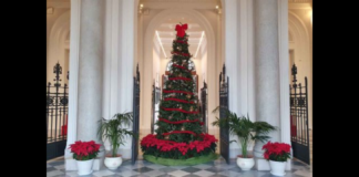 “La Rettrice, prof.ssa Giovanna Spatari, sarà lieta di incontrare la Comunità accademica nell’Aula Magna del Rettorato, venerdì 22 dicembre alle ore 12.00, per il tradizionale scambio degli auguri di Natale”