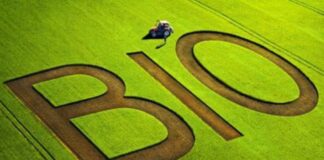 L’assessorato dell’Agricoltura della Regione Siciliana ha pubblicato due bandi da oltre 239 milioni di euro per la conversione delle produzioni al biologico e per le aziende che operano nelle zone svantaggiate: gli interventi sono relativi al piano strategico della Politica agricola comune (Pac) 2023-2027