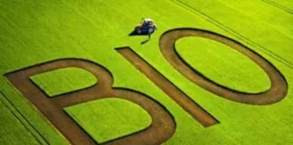 L’assessorato dell’Agricoltura della Regione Siciliana ha pubblicato due bandi da oltre 239 milioni di euro per la conversione delle produzioni al biologico e per le aziende che operano nelle zone svantaggiate: gli interventi sono relativi al piano strategico della Politica agricola comune (Pac) 2023-2027