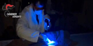 Un cittadino rumeno di 24 anni è stato fermato nella serata di ieri 05 gennaio 2024 perché fortemente sospettato di aver avuto un ruolo nella morte di due donne trovate prive di vita durante la notte intercorsa tra giovedì e venerdì scorsi a Naro, nell’Agrigentino