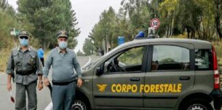 Gli operai forestali, che dipendono dagli assessorati regionali dell’Agricoltura e del Territorio, aderiranno al Fondo paritetico nazionale interprofessionale per la formazione continua in Agricoltura (Foragri)