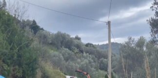 Lunedì 15 gennaio 2024, è la data prevista per l’esecuzione dell’autopsia sul corpo del 21enne Paolo Zaiti, deceduto a seguito dell’incidente avvenuto due giorni fa ad Alcara Li Fusi