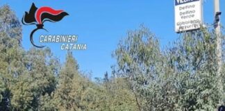 Sono stati momenti di tensione quelli vissuti a Catania, presso un’abitazione del “Villaggio Delfino”, uno dei numerosi agglomerati abitativi vicini al mare, in zona Vaccarizzo, dove un 55enne nordafricano è stato arrestato per maltrattamenti in famiglia