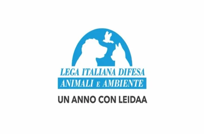 LEIDAA