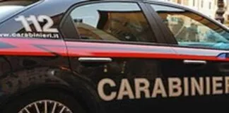 Si è appena conclusa l’operazione internazionale denominata “Madeira de lei”, coordinata dall’Arma dei Carabinieri, sotto egida Europol, contro il traffico illegale di legname alla quale hanno partecipato i Carabinieri forestali per l’Italia, Francia, Germania, Paesi Bassi, Portogallo, Spagna, Brasile, Costa Rica e Panama