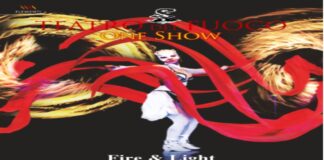 La compagnia del Teatro del Fuoco® approda domani, giovedì 4 gennaio, alle ore 21.30, a Piazza Duomo, con lo spettacolo Fire & Light, inserito nel cartellone di eventi “Immagina Messina”, promosso dall’Amministrazione comunale per le festività natalizie