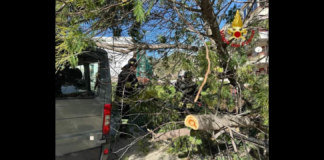 È stato necessario l’intervento tempestivo e coraggioso dei Vigili del Fuoco del comando provinciale, a causa delle imponenti raffiche di vento che nelle ore scorse hanno colpito la provincia tirrenica di Messina: dopo la mezzanotte e fino alle quattordici di oggi, i pompieri sono stati coinvolti in vari interventi caratterizzati dal dovere fronteggiare situazioni di emergenza