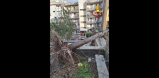 Le forti raffiche di vento che hanno colpito la città di Messina nella notte tra ieri ed oggi, hanno richiesto l’intervento tempestivo e coraggioso dei Vigili del Fuoco del comando provinciale