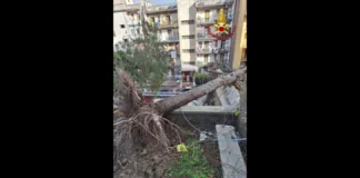 Le forti raffiche di vento che hanno colpito la città di Messina nella notte tra ieri ed oggi, hanno richiesto l’intervento tempestivo e coraggioso dei Vigili del Fuoco del comando provinciale
