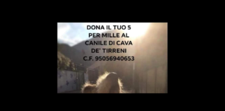 “Noi volontari ed associazioni che abbiamo assistito Leone fisicamente e materialmente nei giorni della sua infinita agonia, noi che abbiamo colto e coltivato quella scintilla di vita nei suoi occhi che non voleva spegnersi, Non parteciperemo alla manifestazione che si terrà nella città di Milano il 14.01”