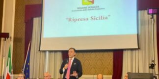«È necessario fare il punto, con tutti gli enti interessati, sul futuro dell’area ex Fiat di Termini Imerese: Dopo vent’anni di fallimenti, ci sono grandi aspettative sulla concreta possibilità di rilancio di questo polo e sullo sviluppo dell’intero territorio