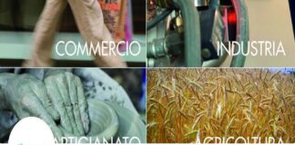 Migliora nel 2023 il quadro del sistema imprenditoriale siciliano, secondo le elaborazioni dell’Osservatorio economico di Unioncamere Sicilia a confronto con il 2022