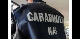 Il comando Carabinieri per la Tutela della Salute, d’intesa con il Ministero della Salute, ha eseguito nei mesi di novembre e dicembre, una campagna di controlli nel settore oleario, uno tra i principali comparti della produzione agro-alimentare italiana, ispezionando frantoi, aziende ed esercizi produttivi e commerciali