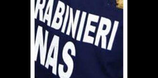 I carabinieri dei Nas, d’intesa con il Ministero della Salute, hanno eseguito tra novembre e dicembre, una campagna di controlli nel settore oleario. Complessivamente, i Nas hanno eseguito 1.250 ispezioni agli addetti della filiera, accertando situazioni di irregolarità presso 256 aziende ed esercizi commerciali