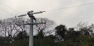 Guasto elettrico a Torrerossa per maltempo un aggiornamento: continuano le operazioni di ripristino della linea elettrica da parte dei tecnici ENEL