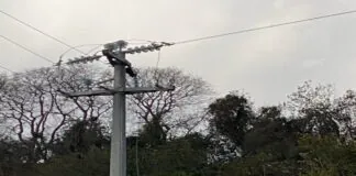 Guasto elettrico a Torrerossa per maltempo un aggiornamento: continuano le operazioni di ripristino della linea elettrica da parte dei tecnici ENEL
