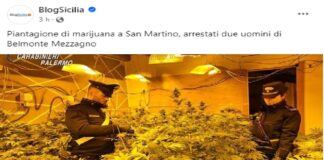 I carabinieri della stazione di Monreale hanno arrestato due uomini, di 27 e 37 anni, originari di Belmonte Mezzagno, con l’accusa di coltivazione e produzione di sostanza stupefacente e furto aggravato di energia elettrica