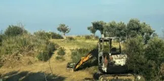 Sicindustria Messina esprime la propria solidarietà all’azienda associata Mammana, vittima nei giorni scorsi di un vile attentato incendiario