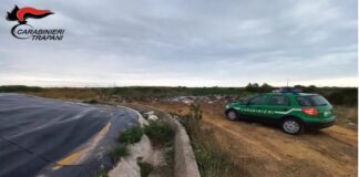 I Carabinieri Forestali del Centro Anticrimine Natura di Palermo – Nucleo Cites di Trapani e della Stazione Carabinieri di Petrosino hanno denunciato un 73enne e un 50enne del luogo per abbandono di rifiuti e gestione di rifiuti non autorizzata