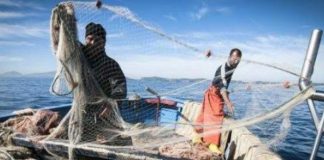 Rilanciare con proposte concrete l’economia delle isole minori siciliane: questo il tema di un incontro tra l’assessore regionale alle Attività produttive Edy Tamajo, il sindaco di Pantelleria Fabrizio D’Ancona, il commissario dell’Irsap Marcello Gualdani e il direttore nazionale di Agripesca Toni Scilla