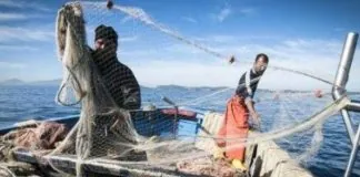 Rilanciare con proposte concrete l’economia delle isole minori siciliane: questo il tema di un incontro tra l’assessore regionale alle Attività produttive Edy Tamajo, il sindaco di Pantelleria Fabrizio D’Ancona, il commissario dell’Irsap Marcello Gualdani e il direttore nazionale di Agripesca Toni Scilla