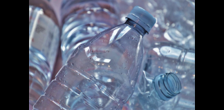 Le micro e le nano plastiche sono ormai presenti nella nostra vita quotidiana a tal punto da poter essere ingerite o inalate dal nostro organismo