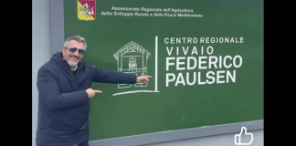 “Finalmente si conoscono gli esecutori materiali e i mandanti dell’omicidio del sindacalista Mico Geraci: Grazie alle indagini della Dda di Palermo e della procura di Termini Imerese è stata fatta chiarezza su un delitto che per lungo tempo, venticinque anni, era rimasto senza colpevoli”