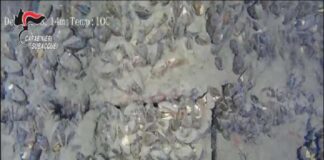 “Uno degli interventi più difficili che sia stato chiamato a gestire nella mia carriera”