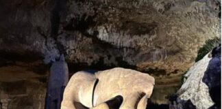 Giovedì 25 aprile, in occasione della Festa della Liberazione, i musei e i parchi archeologici regionali saranno aperti gratuitamente così come proposto dal ministero della Cultura