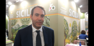 IGP Olio Sicilia è la prima denominazione in Italia, superando l’IGP Toscana, storicamente ai vertici dei grandi oli extra-vergine d’oliva del Paese: il dato è stato diffuso e rilevato dagli enti certificatori che hanno indicato in un milione e mezzo di litri la produzione della filiera olivicola dell’Isola che, in base ai controlli, ha ottenuto la certificazione e la tutela della denominazione