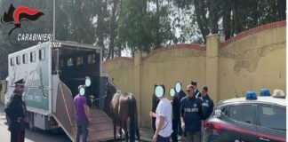 “Riuniamoci e facciamogli guerra in una piazza, in qualsiasi altro posto, perché altrimenti questi ci salgono addosso: Cosa ci possono fare? Ci arrestano? Tanto poi ci rimettono in libertà… Ci denunciano? Cosa ci possono levare? Ci arrestano? Ci arrestano? Ci daranno da mangiare… se vi fate vedere che siete deboli, loro prendono potere… guerra volete e guerra facciamo”