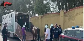 “Riuniamoci e facciamogli guerra in una piazza, in qualsiasi altro posto, perché altrimenti questi ci salgono addosso: Cosa ci possono fare? Ci arrestano? Tanto poi ci rimettono in libertà… Ci denunciano? Cosa ci possono levare? Ci arrestano? Ci arrestano? Ci daranno da mangiare… se vi fate vedere che siete deboli, loro prendono potere… guerra volete e guerra facciamo”