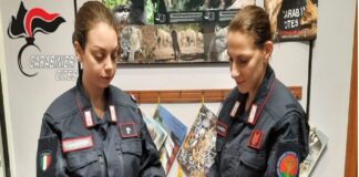 I Carabinieri Forestali del Centro Anticrimine Natura di Palermo, nell’ambito di specifici servizi volti al contrasto alla vendita illegale di esemplari di specie protetta, hanno denunciato un 37enne ericino per detenzione per vendita di specie animali senza la prescritta documentazione