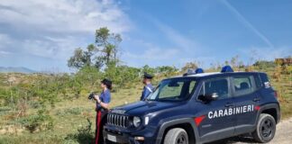 I carabinieri della stazione di Ciminna hanno arrestato un pastore, 24enne per incendio boschivo