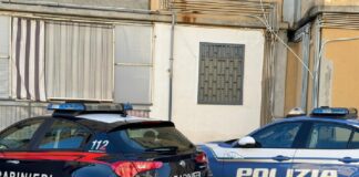 Un’operazione congiunta di polizia e carabinieri è in corso a Vibo Valentia per l’esecuzione di 14 misure cautelari disposte nell’ambito di una inchiesta della Dda di Catanzaro su quattro omicidi e due tentati omicidi commessi nel vibonese nell’ambito di scontri tra le cosche della zona