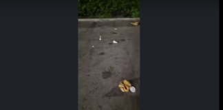 “Quello accaduto durante la notte al deputato dell’alleanza Verdi-Sinistra Francesco Emilio Borelli a Tavernanova, tra Casalnuovo e Pomigliano d’Arco, ha dell’incredibile: Il parlamentare, assieme al giornalista Pino Grazioli, stava effettuando un sopralluogo per mostrare e denunciare la situazione di inciviltà di alcuni incivili che quotidianamente consumano cibi e bevande del McDonald’s gettando poi cibo, contenitori e carte, involucri, bicchieri e contenitori di plastica nel parcheggio dell’autolavaggio limitrofo al locale”