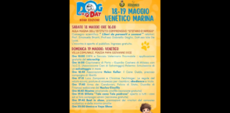 Sabato 18 e Domenica 19 Giugno alla Villa Comunale di Venetico ritorna il tradizionale appuntamento col DogDay, manifestazione dedicata al mondo dei cani organizzata dall’associazione Hermes Onlus, presieduta dalla dottoressa Felicia Manicastri