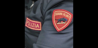 Nelle ore scorse…, la Polizia di Stato ha arrestato in flagranza di reato, quattro palermitani, C.E, 18enne, C.C.,19enne, C.A., 22enne e D.A.O., 20enne, accusati di un furto e di un tentato furto d’auto