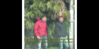 Ci sono ancora nuove carte giudiziarie per la maxi operazione antimafia “Nebrodi 1”, che nel gennaio del 2020 fece conoscere a tutti gli affari silenziosi della mafia dei pascoli, ovvero le truffe agricole all’Unione Europea per milioni di euro messe in piedi per anni dai clan tortoriciani dei Batanesi e dei Bontempo Scavo