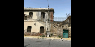 “Ci hanno ammazzato i gatti: Sappiamo che questo post non avrà la stessa risonanza mediatica che avrebbe avuto se le vittime fossero stati i cani ma dobbiamo comunque denunciare e farlo sapere a tutti… qualcuno stanotte è entrato al rifugio e ci ha ammazzato almeno una 15ina di gatti, quelli che vivevano felicemente nei cortili esterni ma protetti da reti, mentre i gatti rinchiusi nelle stanze ai piani sono stati graziati forse perché per arrivare da loro bisognava scassinare delle catene”