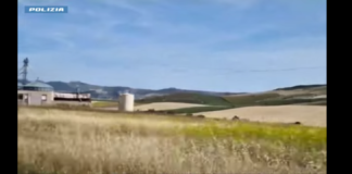 L’operazione dei giorni scorsi ad Agrigento che ha portato all’arresto di cinque componenti di un’associazione criminale che esercitava un controllo capillare del settore agro-pastorale sul territorio agrigentino, ha avuto seguito il 05 giugno 2024 con una serie di perquisizioni nei confronti di persone collegate agli arrestati e di controlli igienico-sanitari nei confronti di aziende agricole ed allevamenti da parte di medici veterinari costantemente supportati dagli agenti del Servizio centrale operativo, delle Sezioni Investigative del Servizio centrale operativo di Palermo e delle Squadre mobili di Agrigento e Palermo