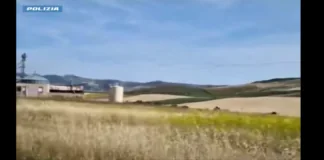 L’operazione dei giorni scorsi ad Agrigento che ha portato all’arresto di cinque componenti di un’associazione criminale che esercitava un controllo capillare del settore agro-pastorale sul territorio agrigentino, ha avuto seguito il 05 giugno 2024 con una serie di perquisizioni nei confronti di persone collegate agli arrestati e di controlli igienico-sanitari nei confronti di aziende agricole ed allevamenti da parte di medici veterinari costantemente supportati dagli agenti del Servizio centrale operativo, delle Sezioni Investigative del Servizio centrale operativo di Palermo e delle Squadre mobili di Agrigento e Palermo