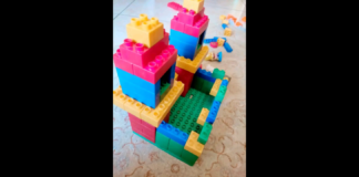 “Con l’affluenza pari al 38%, la più bassa d’Italia dopo quella della Sardegna, la Sicilia ha mandato un messaggio chiaro: a vincere è stato il voto ‘strutturato’, un consenso che si autosostiene ad ogni vittoria e che nel frattempo allontana gli elettori dalle urne, certi che a queste latitudini nulla possa cambiare”