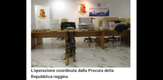 Nella giornata del 13 giugno 2024, nell’ambito delle iniziative di contrasto al fenomeno dello spaccio di droga promosse dalla Questura di Reggio Calabria, investigatori della Squadra Mobile, con il costante coordinamento della Procura della Repubblica reggina, hanno arrestato un ventottenne del quartiere Catona per il reato di detenzione di sostanza stupefacente