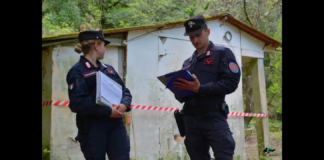Le attività di controllo capillare su tutto il territorio italiano per la salvaguardia del patrimonio ambientale rappresentano la costante priorità del Comando Unità Forestali, Ambientali e Agroalimentari Carabinieri (CUFA): tali attività vengono poste in essere attraverso la prevenzione e la repressione dei reati e degli illeciti a tutela degli habitat e delle risorse naturali per la conservazione della biodiversità, oltre che da quelle di divulgazione ed educazione per la legalità ambientale tendenti a garantire un futuro sostenibile
