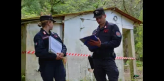 Le attività di controllo capillare su tutto il territorio italiano per la salvaguardia del patrimonio ambientale rappresentano la costante priorità del Comando Unità Forestali, Ambientali e Agroalimentari Carabinieri (CUFA): tali attività vengono poste in essere attraverso la prevenzione e la repressione dei reati e degli illeciti a tutela degli habitat e delle risorse naturali per la conservazione della biodiversità, oltre che da quelle di divulgazione ed educazione per la legalità ambientale tendenti a garantire un futuro sostenibile