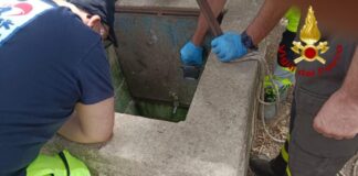 Nelle ore scorse…, un bambino di 10 anni è morto dopo essere caduto in un pozzo a Palazzolo Acreide in Provincia di Siracusa: inutili i tentativi di soccorso prestati dai vigili del fuoco immediatamente accorsi sul posto… col piccolo anche una donna che è stata, invece, messa in salvo… ancora da chiarire la dinamica dell’accaduto