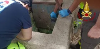 Nelle ore scorse…, un bambino di 10 anni è morto dopo essere caduto in un pozzo a Palazzolo Acreide in Provincia di Siracusa: inutili i tentativi di soccorso prestati dai vigili del fuoco immediatamente accorsi sul posto… col piccolo anche una donna che è stata, invece, messa in salvo… ancora da chiarire la dinamica dell’accaduto