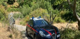 Nei giorni scorsi…, in contrada San Pantaleo a Fiumedinisi in Provincia di Messina, è stato trovato il corpo senza vita di un allevatore nisano, Giovanni Ciulla, 58 anni, che viveva da solo in un edificio rurale all’interno di un terreno di proprietà dell’Azienda Foreste Demaniali: il suo corpo è stato rinvenuto impiccato ad un albero e per i carabinieri intervenuti sul posto il caso è stato classificato sin da subito come suicidio, così come dal medico necroscopo giunto per l’accertamento della morte e che avrebbe escluso azioni di terze persone nel provocare il decesso dell’uomo